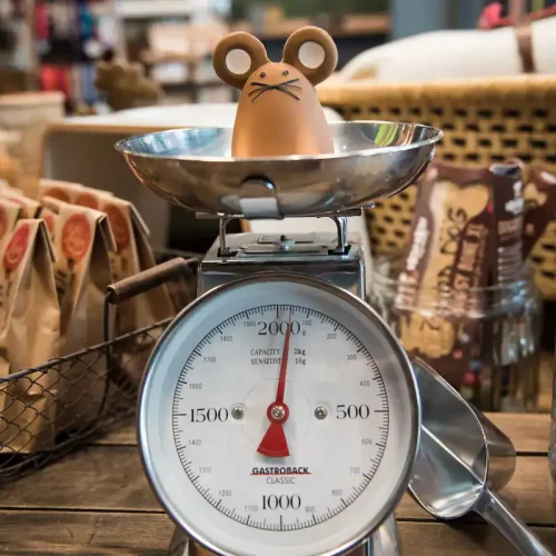 Hundebetten und Accessoires im Sam's Concept Store