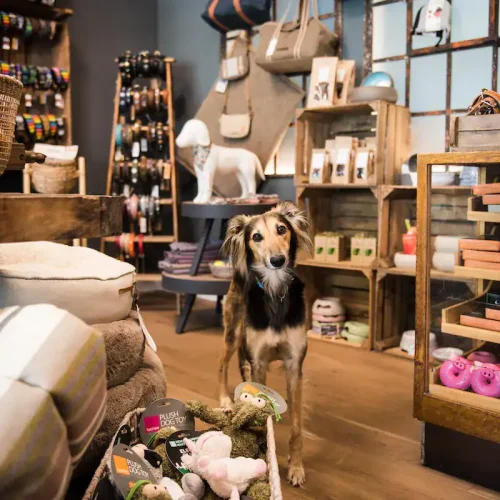 Concept Store von Sam's: Eingangsbereich mit Holzfront