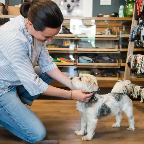 Pfotenabdruck-Set zum Mitnehmen, im Sam's Concept Store ausgelegt