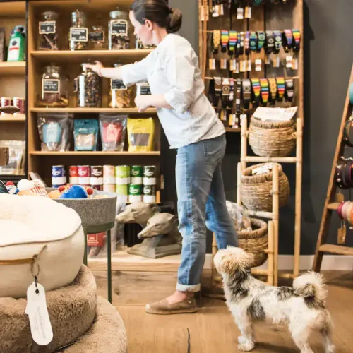 Auswahl an Hundemarken im Verkaufsraum