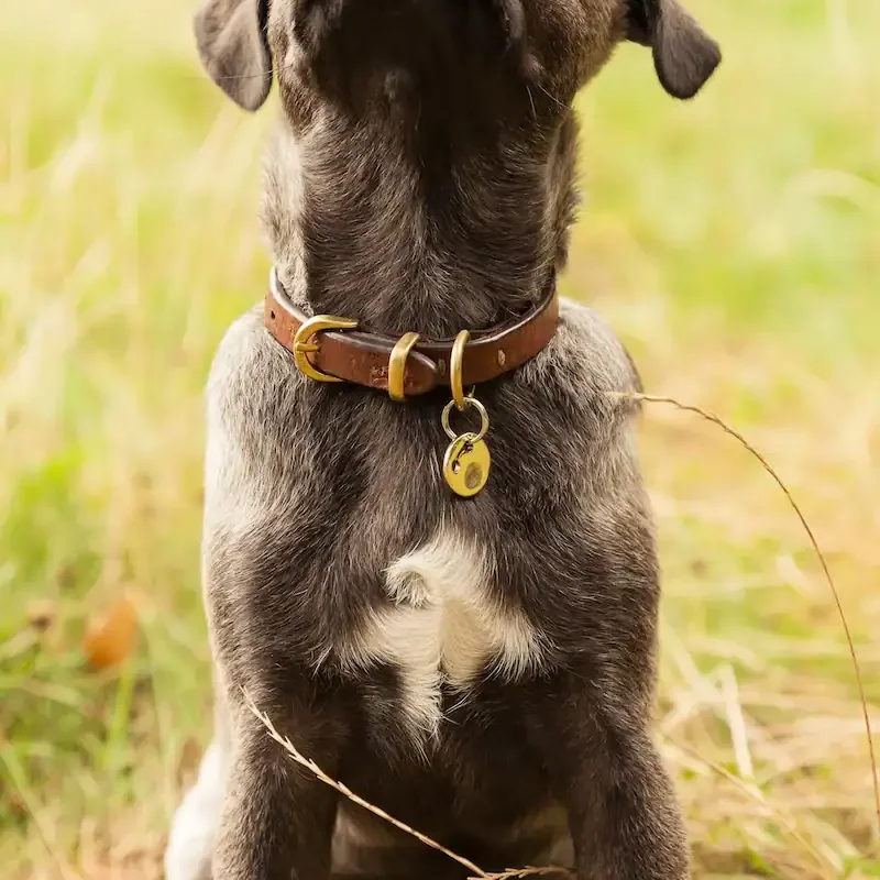 Geschmolzenes Metall wird in die Gussform gegossen