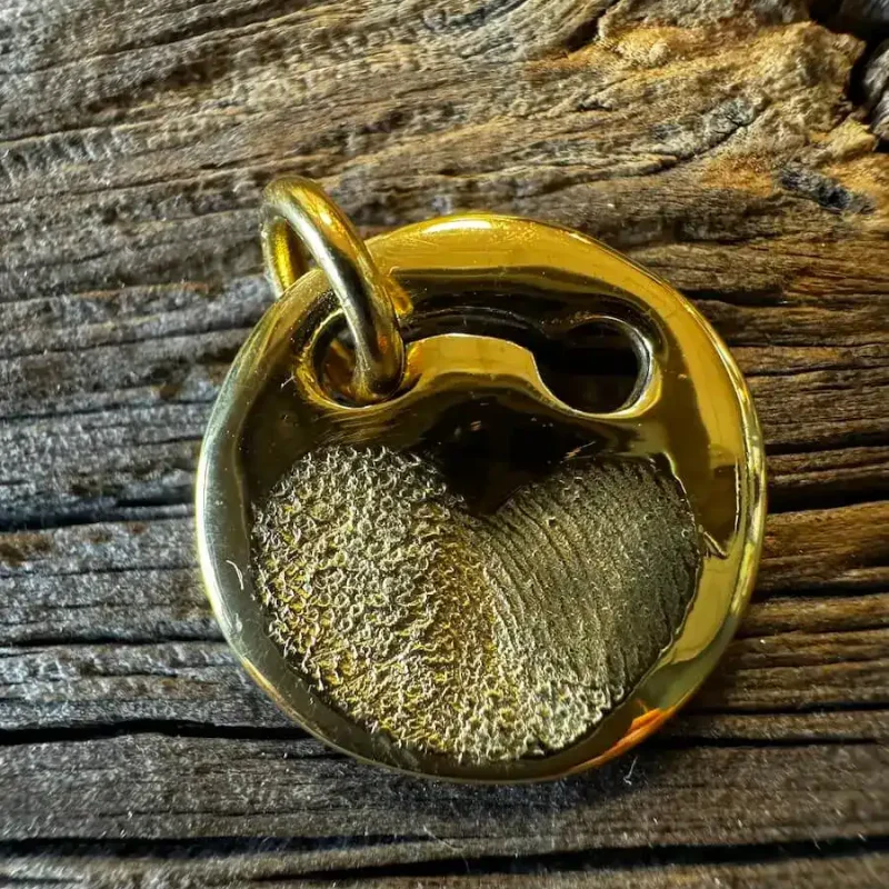 Coin-Hundemarke mit eingraviertem Namen 'Caya'