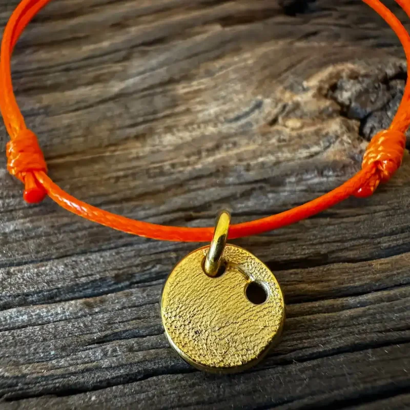 Hundemarke an einem Hundehalsband befestigt