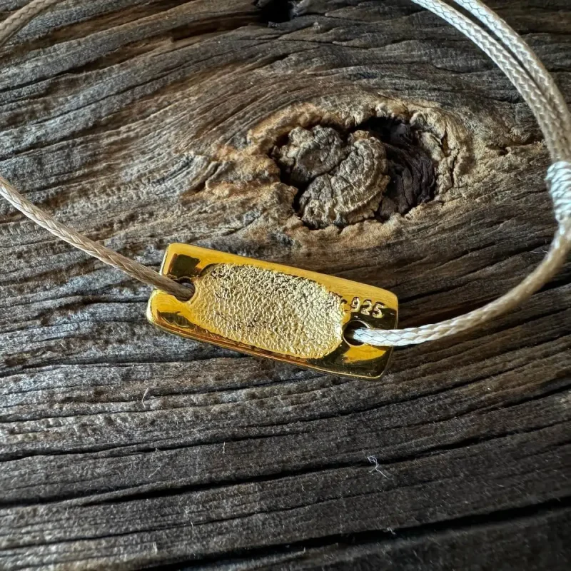 Hundemarke in der Hand des Besitzers