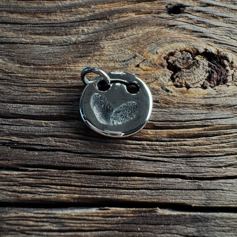 Detailansicht eines Pfotenabdrucks auf Bronzemarke