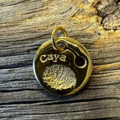 Goldene Hundemarke mit Pfotenabdruck und eingravierten Namen, auf Holzhintergrund